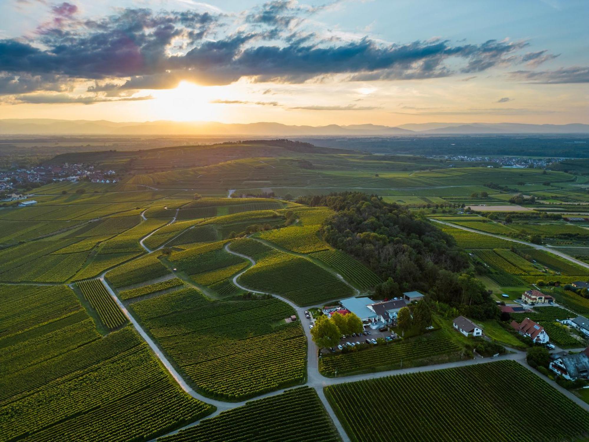 Koepfers Steinbuck Hotel Bischoffingen Kültér fotó