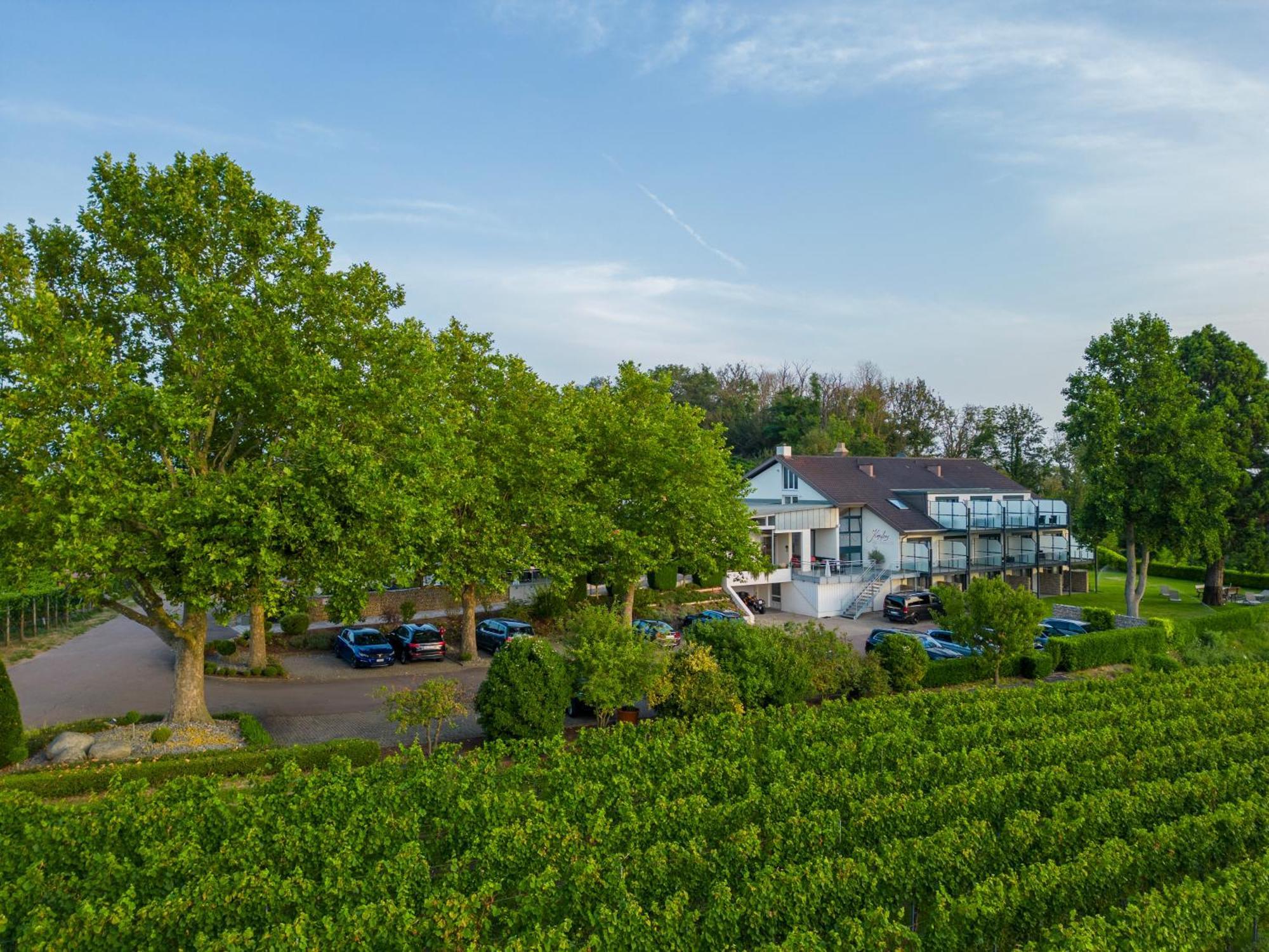 Koepfers Steinbuck Hotel Bischoffingen Kültér fotó