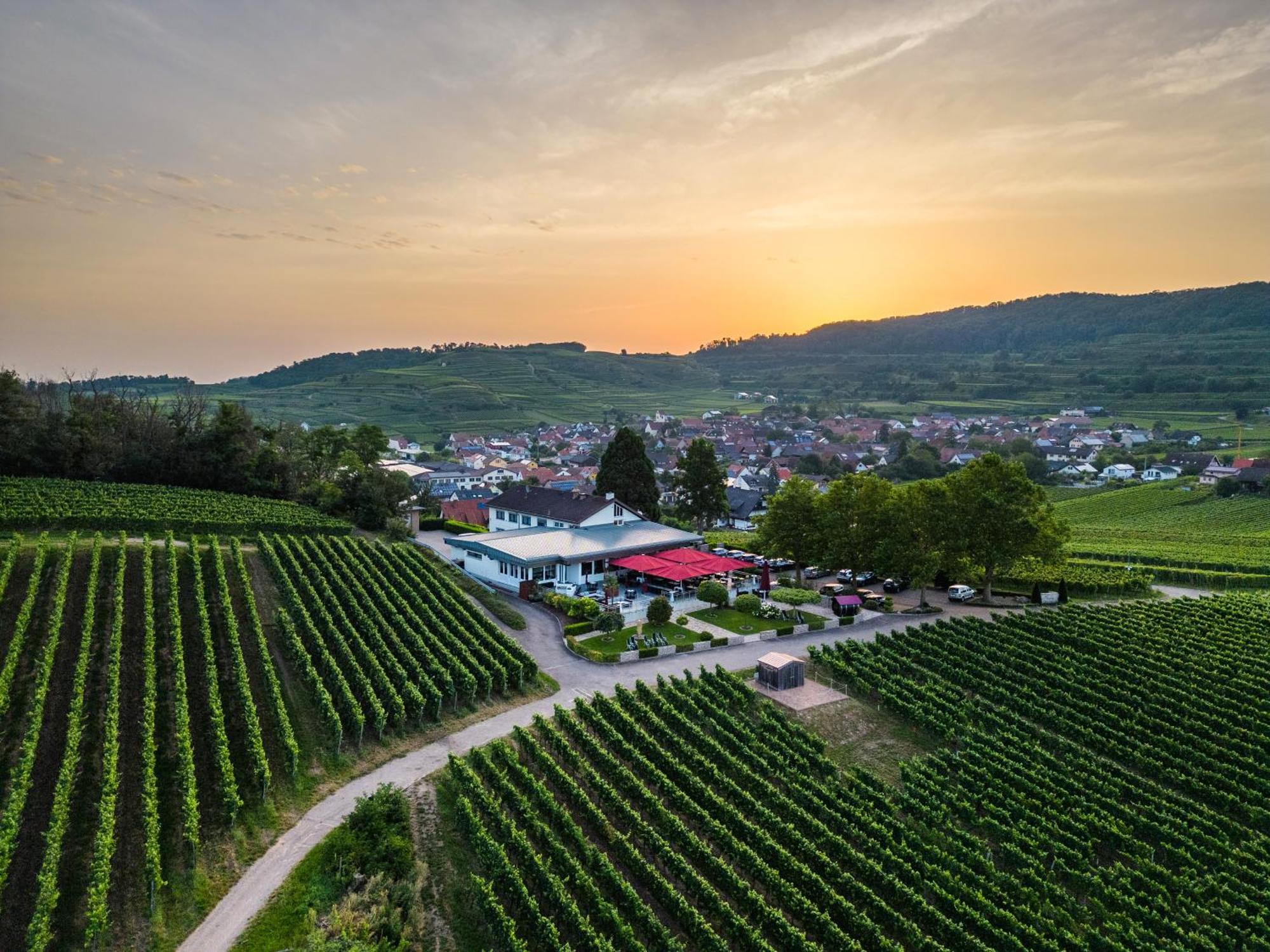 Koepfers Steinbuck Hotel Bischoffingen Kültér fotó