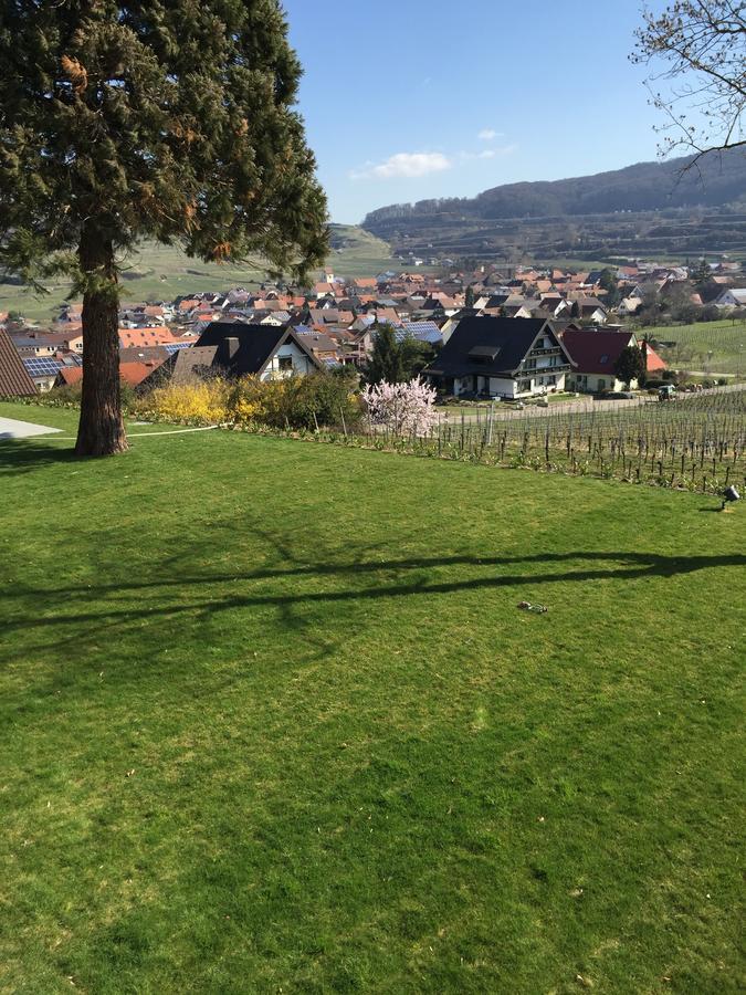 Koepfers Steinbuck Hotel Bischoffingen Kültér fotó