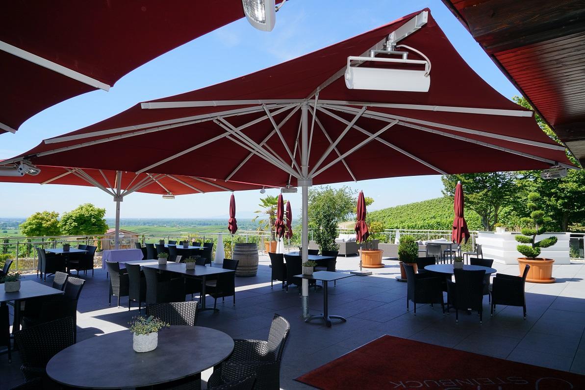 Koepfers Steinbuck Hotel Bischoffingen Kültér fotó